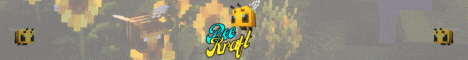 BeeKraft Minecraft Server v1.16.5 - USA Community