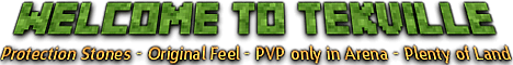 TekVille Minecraft Server v1.21 | Play in the USA!