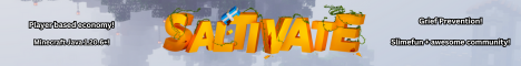 Saltivate Minecraft Server v1.21 - US | Join the Fun!