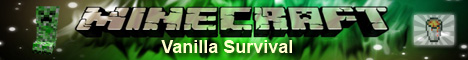 Vanilla Survival Minecraft Server - v1.16.5 USA