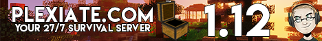 Join Plexiate: Minecraft Server v1.21.1 - USA