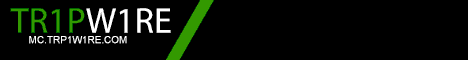 Tr1pW1re Minecraft Server - Play v1.20.1 in the USA!