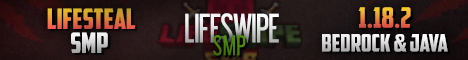 Lifeswipe Minecraft Server v1.21.5 - Germany