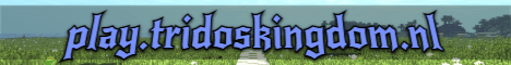 Join TridosKingdom: Minecraft Server v1.21.1 in Netherlands