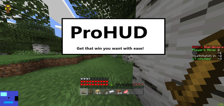 ProHUD