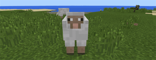 1434360179: Small Island