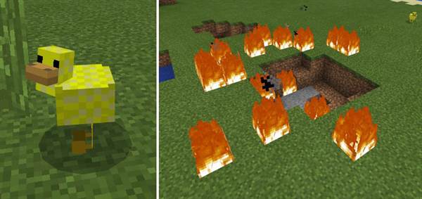 Explosive Ducks Addon