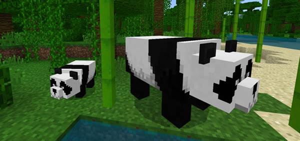 Panda Minecon 2018 Add-on
