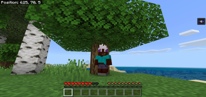 Minecraft Bedrock…A Drow’s Life