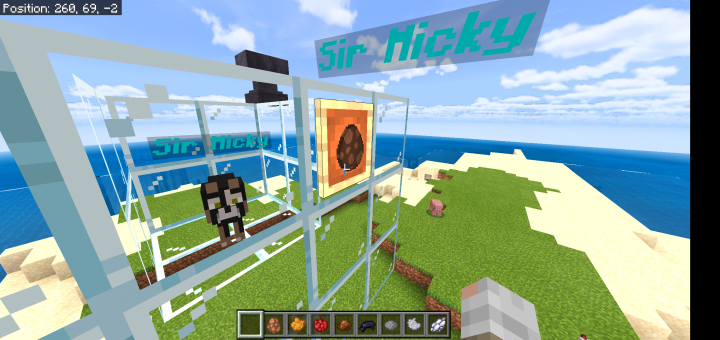 Sir Micky’s 2nd Life