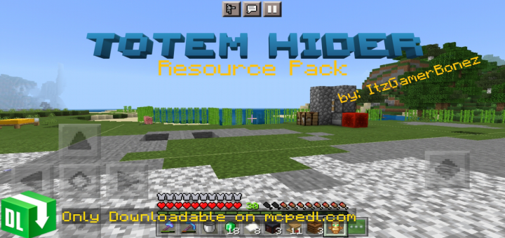 Totem Hider Resource Pack