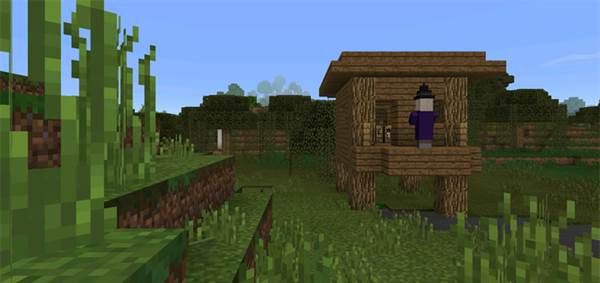 -1057943812: Witch Hut At Spawn