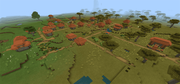 Savannah Village At Spawn Seed