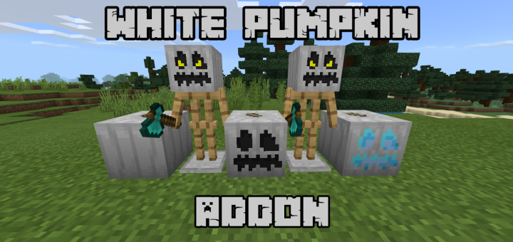 White Pumpkin Add-on