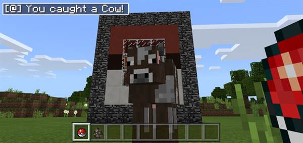 Poke Balls (Command Blocks) [Redstone]