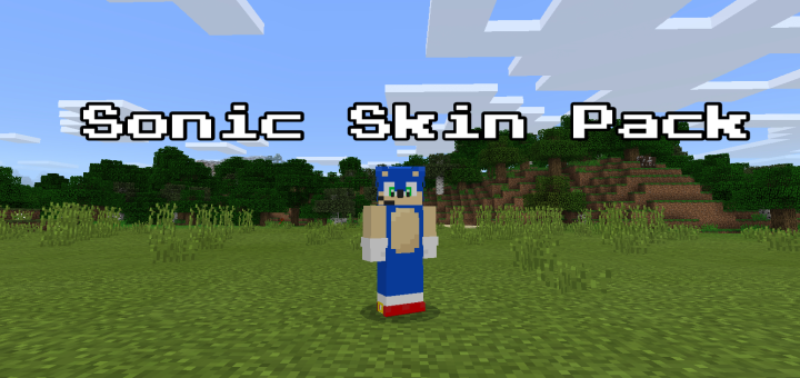 Sonic The Hedgehog Skin Pack