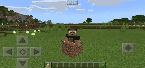 Minecraft Block Morphs Addon