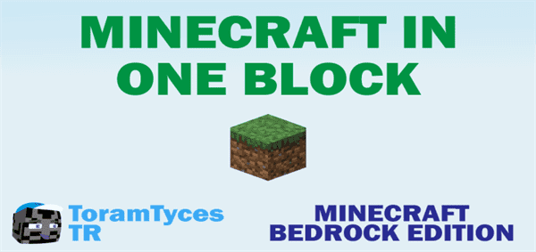 Minecraft In One Block [Survival]