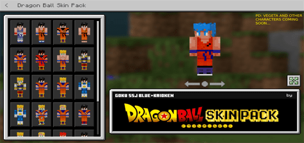 Dragon Ball Skin Pack