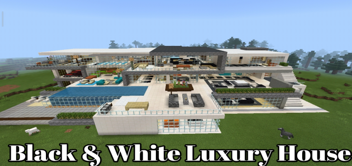 Black & White Luxury House