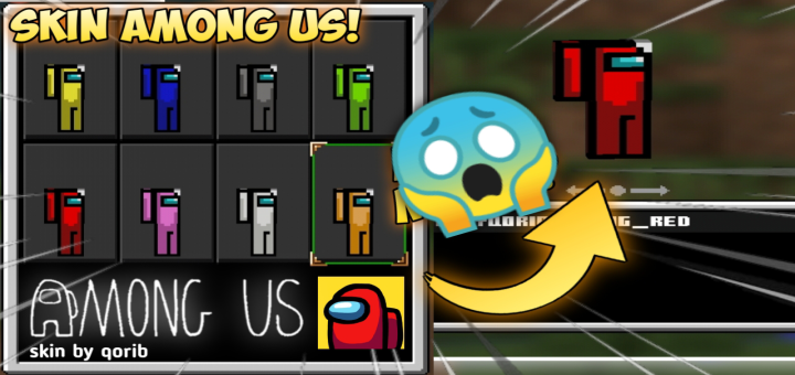 Among Us Skinpack Regular