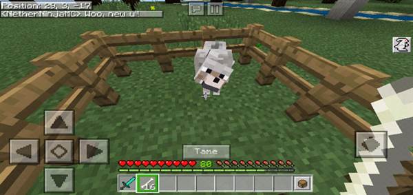 Download HudUI+ Resource Pack - Minecraft PE Texture Packs