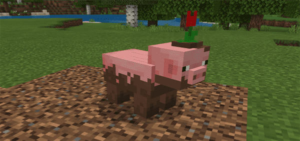 Download Muddy Pig Resource Pack - Minecraft PE Texture Packs