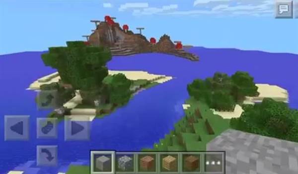 106854229: One Mushroom Island & One Survival Island!