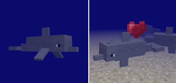 Download Dolphins Addon (Concept!) - Minecraft PE Addons
