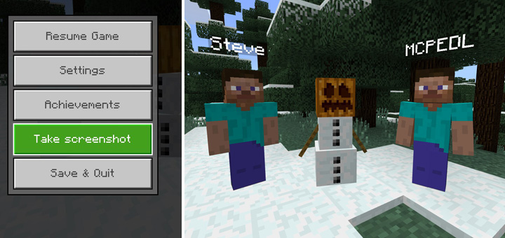 Take Screenshot Button Add-on