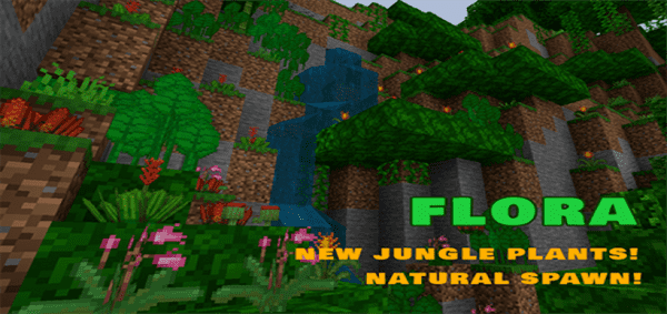 Flora Bedrock Add-on