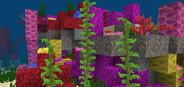 -1231215285: Huge Coral Biome At Spawn (Beta Only)