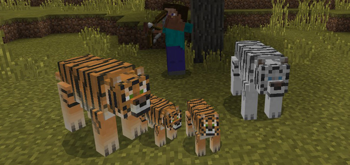 Download Tiger Add-on - Minecraft PE Addons