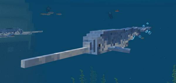 Narwhal Addon