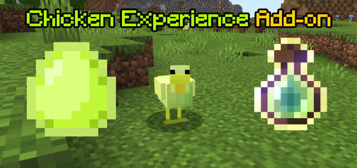 Chicken Experience Add-on