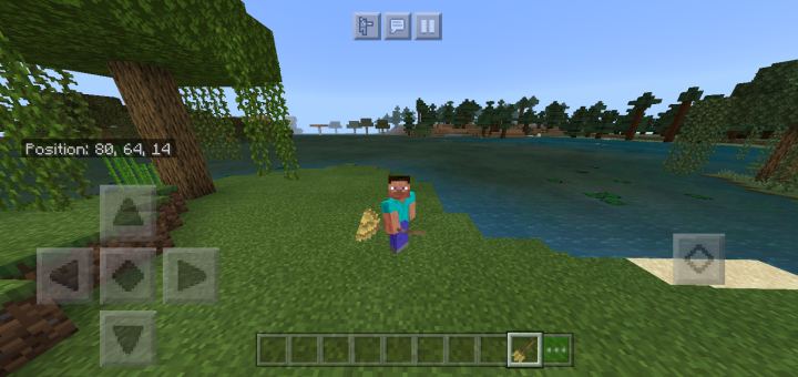 Download Broomstick Trident - Minecraft PE Texture Packs