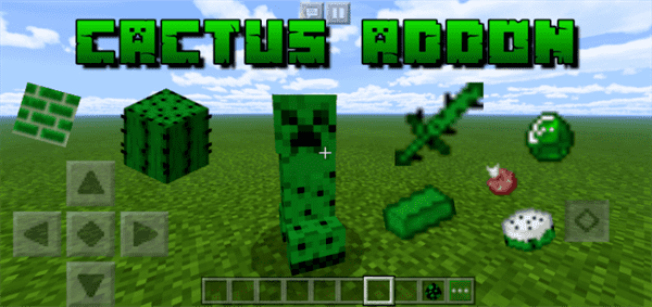 Cactus Add-on