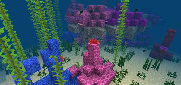 -560637684: Coral Reef Near Spawn Seed (Beta Only)