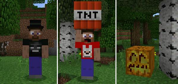 3D Models Skin Pack (Beta Only)