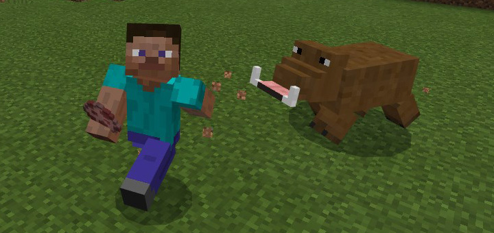 Download Boar Add-on - Minecraft PE Addons