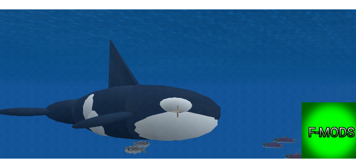 Killer Whale Addon