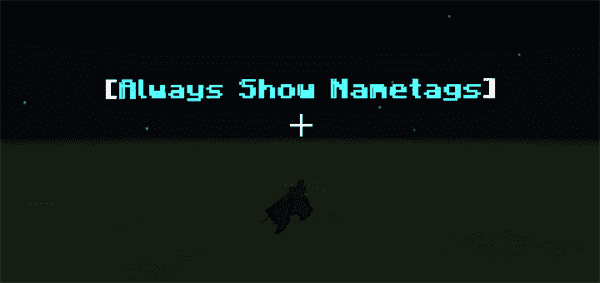 Always Show Nametags Add-on