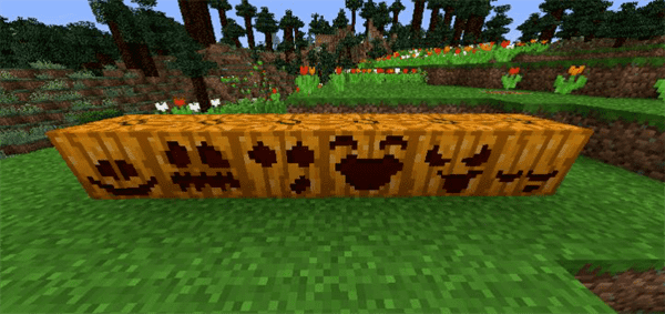 Pumpkin Texture Pack