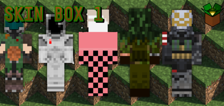 Skin Box 1