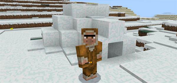 1410403532: Igloo & Snow Village