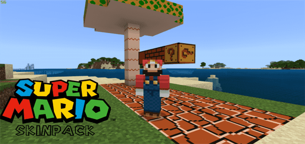 Super Mario Skin Pack