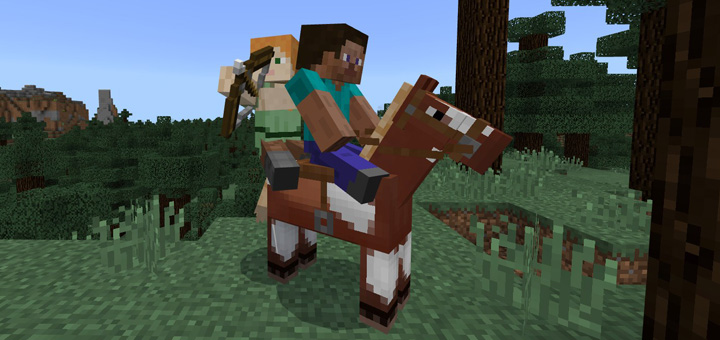 2 Player Horse Riding Addon