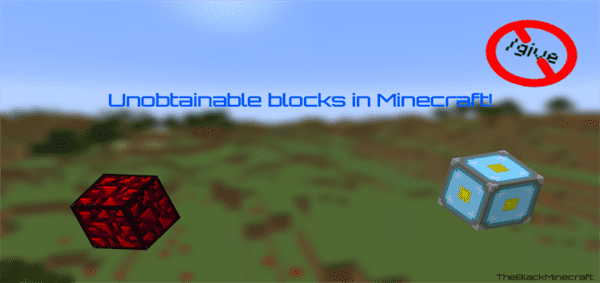 Unobtainable Blocks! – No mods!