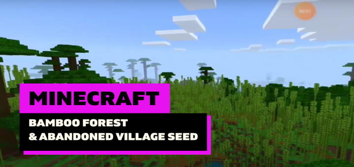 Spawn in Bamboo Forest & Abandoned Village (Seed)