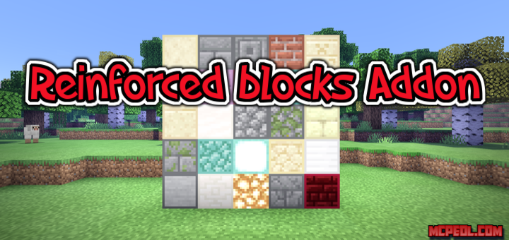 Reinforced Blocks Add-on (1.16)